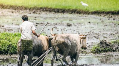 100 days of modi government 2 focus on farmers achievements