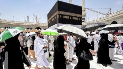 Haj Pilgrims News