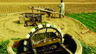 Halti Vali Khuhi disappeared from Punjabi culture