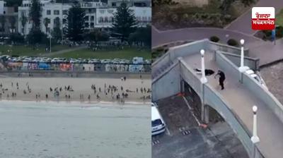 Three Indians among those injured in terror attack on Australia's Bondi Beach