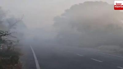 Cold wave grips Bihar, traffic slows down due to fog