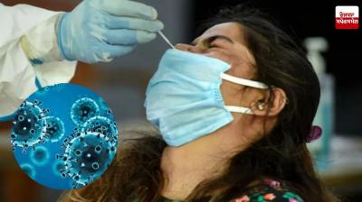 Delhi Covid Advisory: Delhi government issues advisory regarding Corona