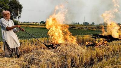 How can the pollution from Punjab's stubble reach Delhi News