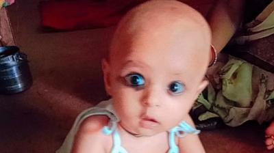 A 13-month-old child died after drowning in a bucket of water Haryana News in punjabi