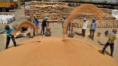 The government will purchase 30 million tonnes of wheat