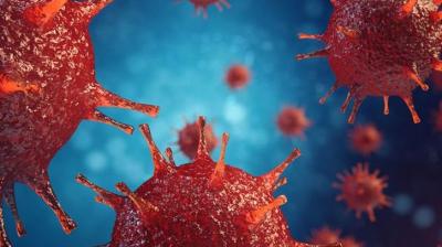 Australia flu CRISIS: 63 dead as killer virus spreads