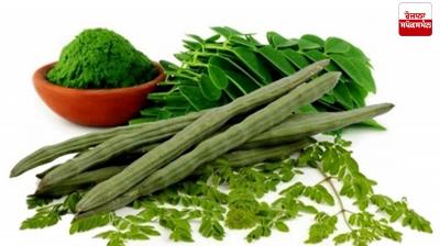Moringa