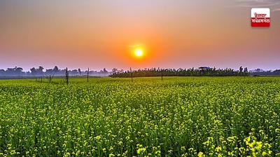 Punjab Weather Update