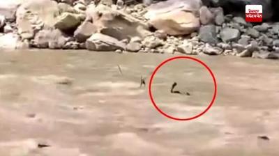 Himachal: Two tourists swept away in river due to sudden release of water from dam