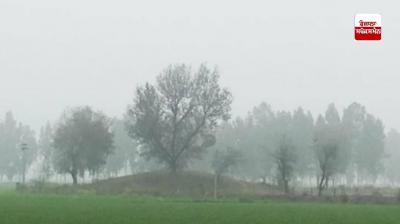 Yellow alert of fog issued for 2 days in Punjab-Chandigarh