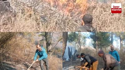 Fire in Jammu and Kashmir's Nowgam forest 90 percent under control