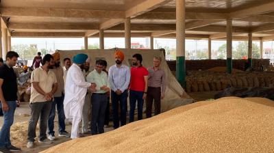 Punjab Mandi Board Secretary Ramveer makes surprise visit to various grain markets of Sangrur district