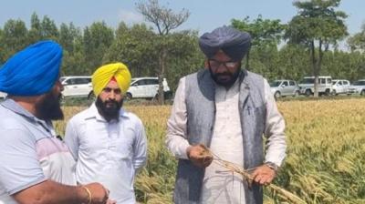 Agriculture Minister Kuldeep Singh Dhaliwal visited Ghanoor and Rajpura constituencies