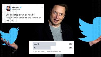 Elon Musk asked - should I step down as the head of Twitter?, 56% of users said - yes