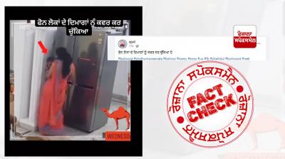 Fact Check: Scripted Video Of Woman Putting Her Child In Fridge Viral As Real