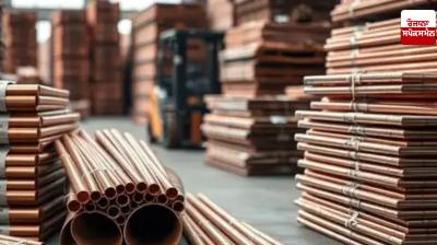 50 percent duty on copper: India seeks WTO consultations with US