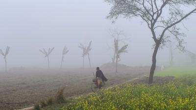 Punjab Weather Update