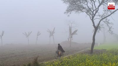 Punjab Weather Update