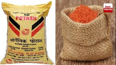  Potash Fertilizer Price hike 