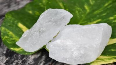 Phatkari For Health News in punjabi 