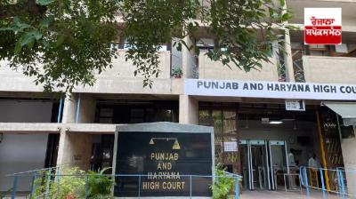High Court strict on Ludhiana Police's lax investigation