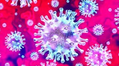 Coronavirus 