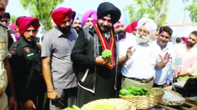 Sidhu invites world famous Chefs to Punjab For start Indian Culinary Institute