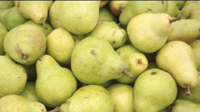 Pear