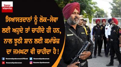 Punjab Security Forces