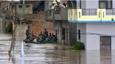  An amount of Rs. 50,000 has been distributed to each district for medicines livestock in 11 flood-affected districts.