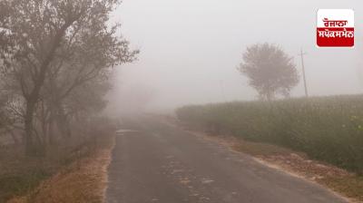 Yellow alert of fog issued in 5 districts of Punjab