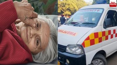 Chandigarh Greedy daughter Elderly Mother Story Viral