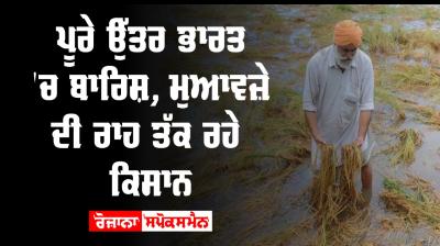 Punjab Farmer Agriculture Rain Crops Wheat