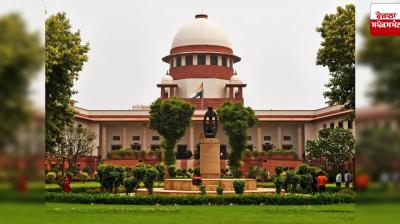 Haryana STF orders immediate release of Delhi lawyer arrested