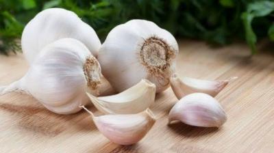 Garlic 