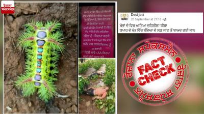 Fact Check Fake post claiming an insect is killing farmers