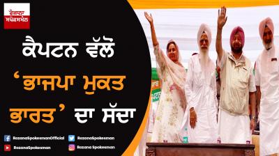 India will be 'BJP Mukt', UPA-3 to form next govt: Capt Amarinder