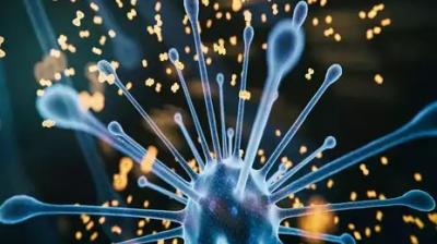 First death in UK with Omicron, 75,000 deaths feared by April