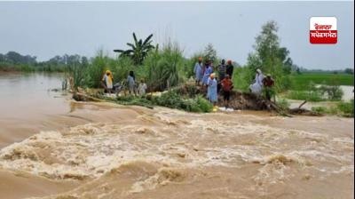 ਪੰਜਾਬ 'ਚ ਰਾਹਤ ਕਾਰਜ ਜ਼ੋਰਾਂ 'ਤੇ: ਪਿਛਲੇ 24 ਘੰਟੇ 'ਚ 4711 ਹੜ੍ਹ ਪੀੜਤ ਸੁਰੱਖਿਅਤ ਥਾਵਾਂ 'ਤੇ ਪਹੁੰਚਾਏ