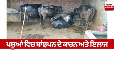 Causes and treatment of infertility in animals Farming News