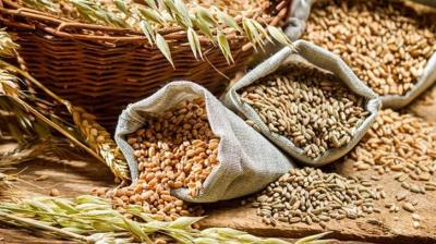 Central Government reprimands Punjab over food distribution