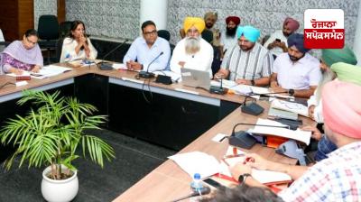 20 percent increase in area under cotton cultivation in Punjab, sowing done in 2.98 lakh acres: Khudian