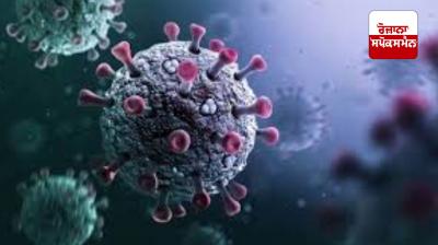 World Health Organization issues alert regarding Corona