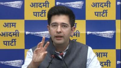 Raghav Chadha claims BJP hatching plans to arrest leaders of INDIA