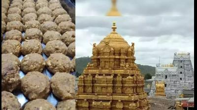 Tirupati Prasad Controversy