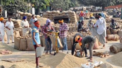  Paddy procurement is starting from today