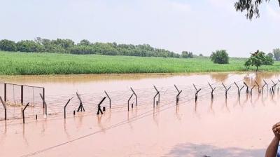 Rise in Ravi affects journey through Kartarpur Corridor