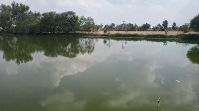 Female sarpanch accused of killing fish