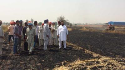 Wheat destroyed by fire