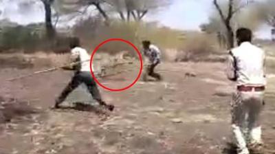 Woman Killed By Leopard